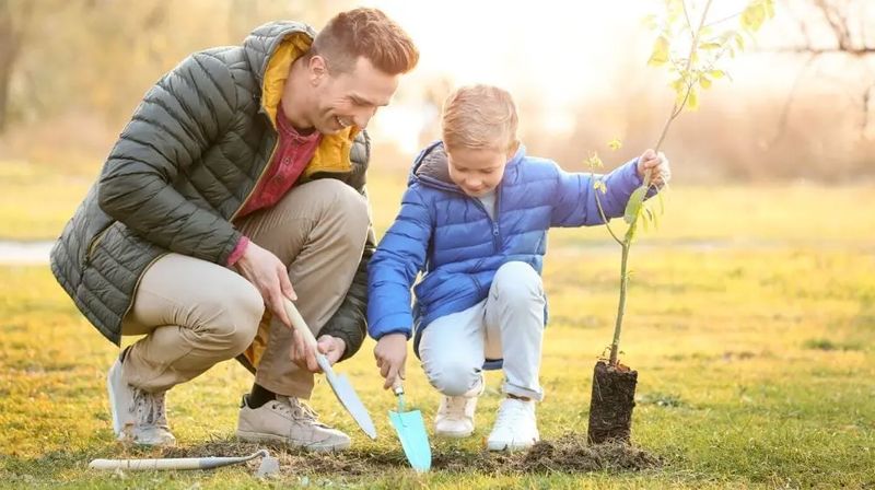 Sembrar un árbol con papá