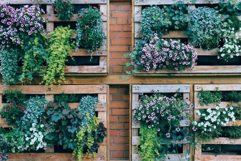 Cultivar tu propio jardín vertical