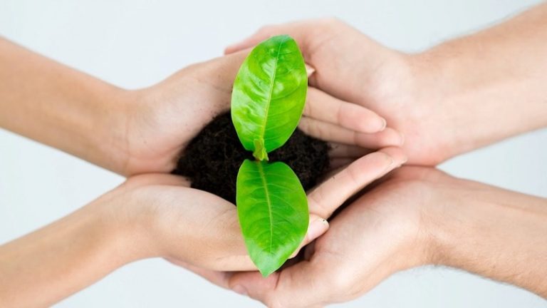 Cómo vivir de manera más sustentable