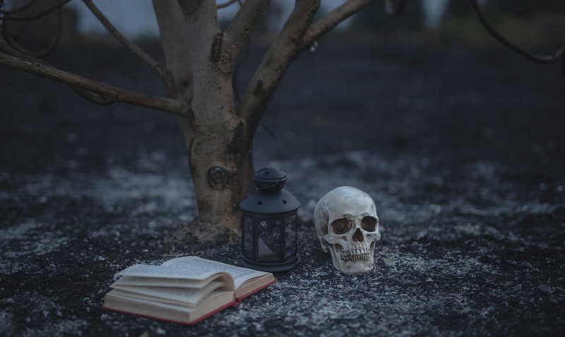Recomendaciones Literarias Sobre Dia de Muertos
